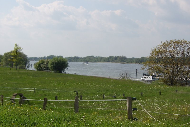Rhein bei Perrich
