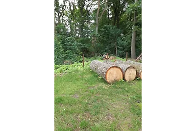Zur großen Buche, Inhaber Tatjana Niedbala