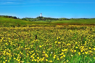 Hiddensee 1