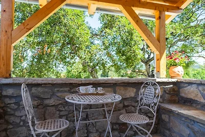 Stone villa Marita with pool