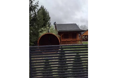 Ferienhaus am See Wald Nähe Danzig