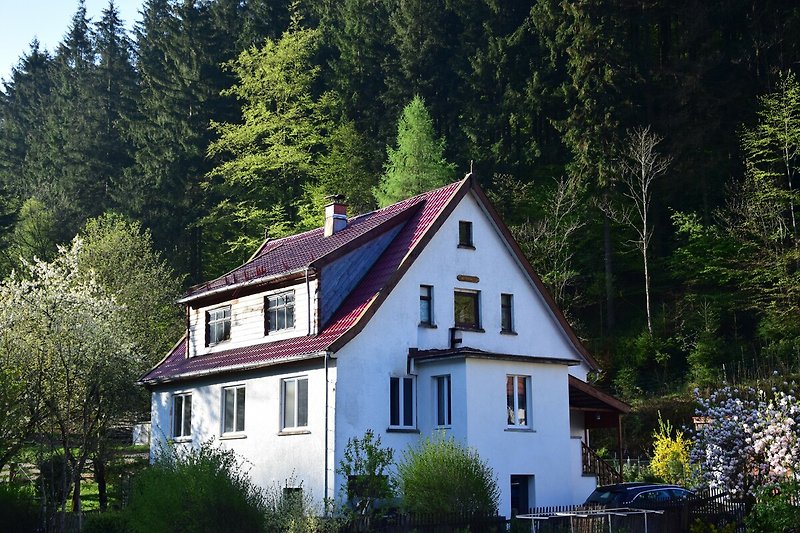 Prachtig huis in landelijke omgeving met groene tuin en bos.