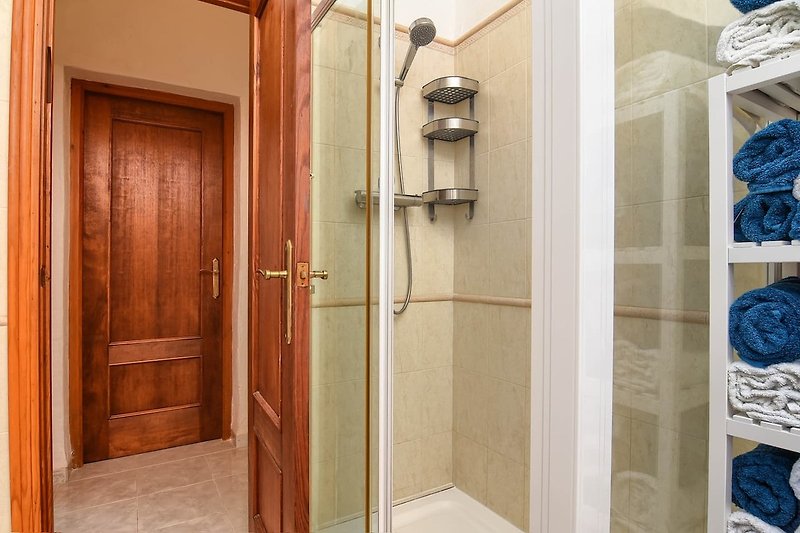 Prachtige badkamer met blauwe douche, houten deur en glazen douchewand.
