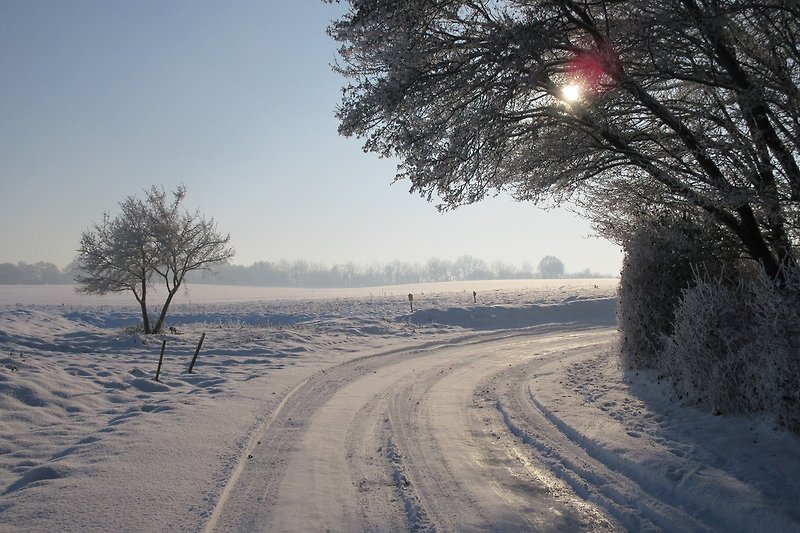 Wunderschöne Winterlandschaft in Bosau