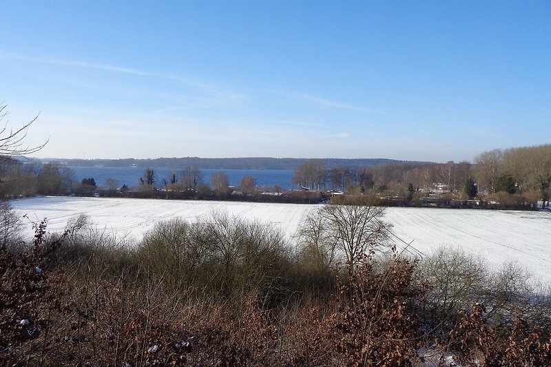 Winterblick auf die Weite des großen Plöner Sees