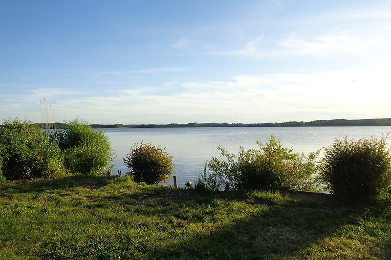 Broocksche Uferwiese in Bosau am großen Plöner See