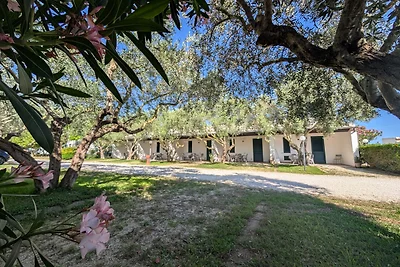 Lilybeo Village Camping&Residence