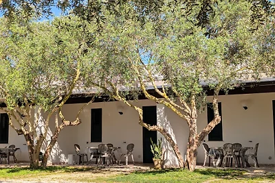 Lilybeo Village Camping&Residence