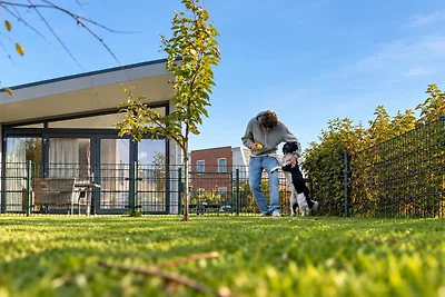 Knilles 4P. | Speziell für Hunde mit eingezäu...