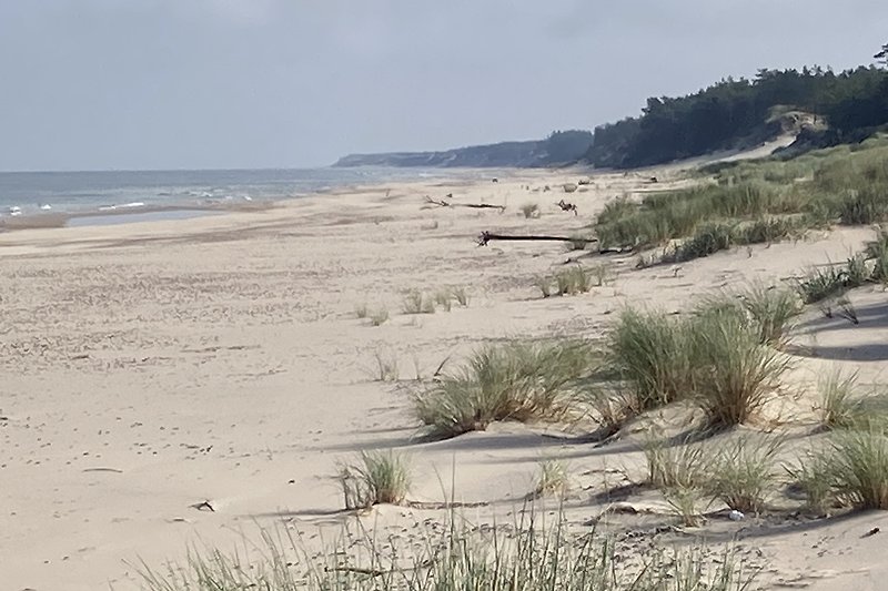 Einsamer Strand am nahsten Ostseezugang