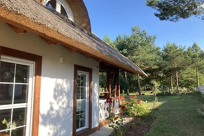 Landhaus nahe Ostsee voll umzäunt