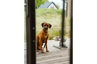 Ferienhaus 8 Personen Komfort