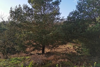 Ferienwohnung "Green Forest" | 7 Pers.