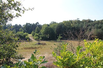 Berg und Tal mit Hottub | 6 Pers.