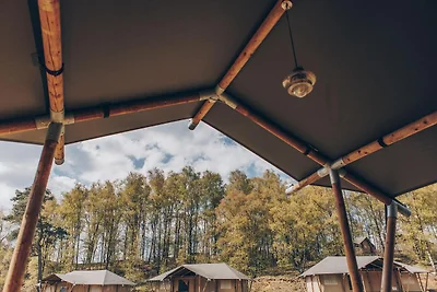 Glamfield Lodge II | 6 Pers.
