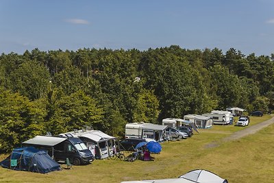 Kampeerplaats - Huisdiervrij