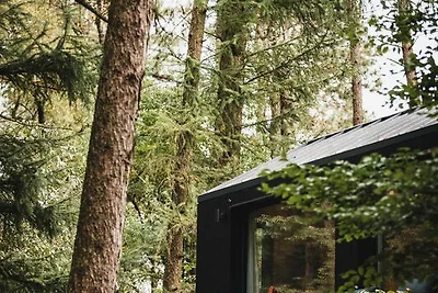Koya Tiny Cabin | 2 Pers.