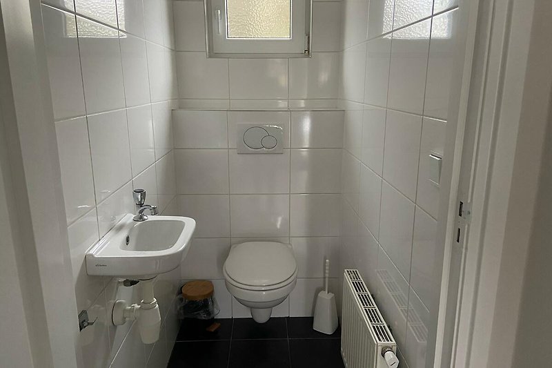 Modernes Badezimmer mit lila Waschbecken und Toilette.