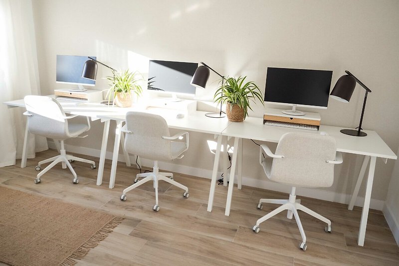 A modern office space with stylish furniture and a houseplant.