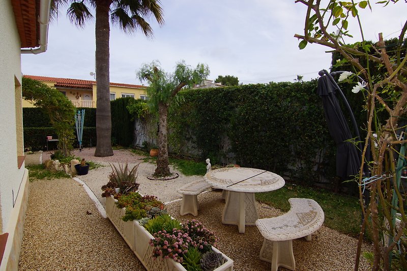 Schöner Garten mit Palmen, Pflanzen und Outdoor-Möbeln.