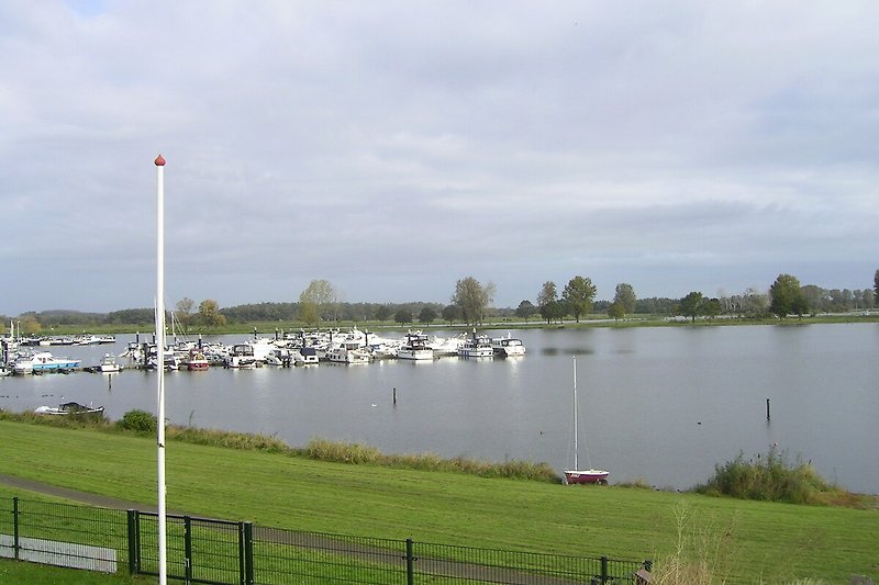 Ein malerischer Anblick: Wasser, Himmel, Wolken, Pflanzen und Boote auf dem Fluss Maas.