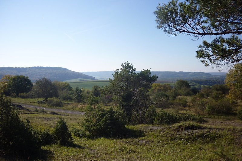 Blick von der Höhe über eine Wacholderheide (Naturschutzgebiet).