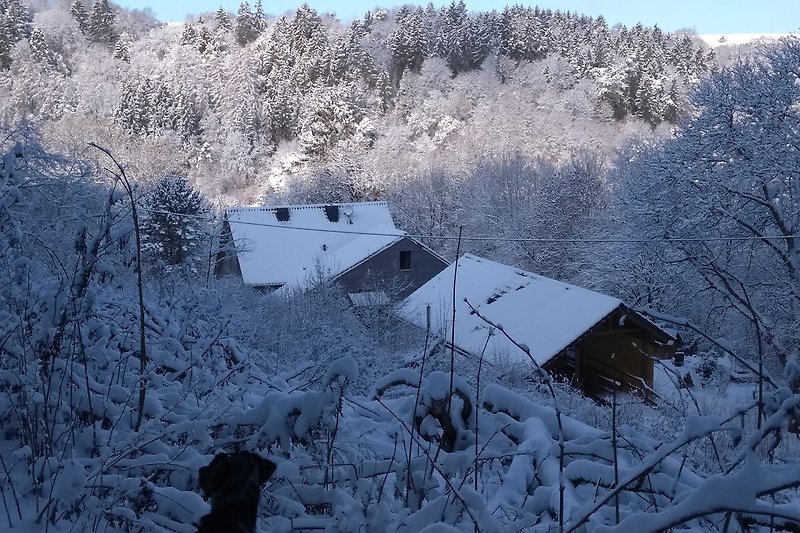 Winterliches Panorama mit verschneiten Hängen.