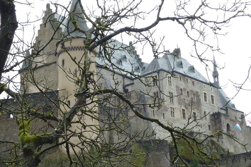 Ausflug zur Burg Vianden in Luxemburg.
