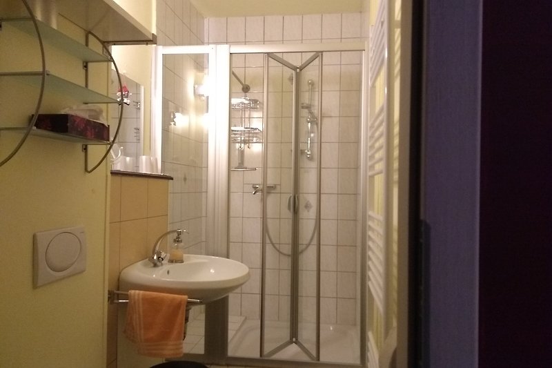 Ein kleines Badezimmer mit Toilette und geräumiger Dusche.
