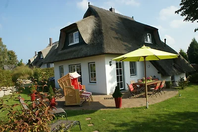 Reethaus STERNENKIKKER + Strandkorb