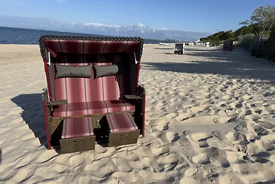 Reethaus STERNENKIKKER + Strandkorb
