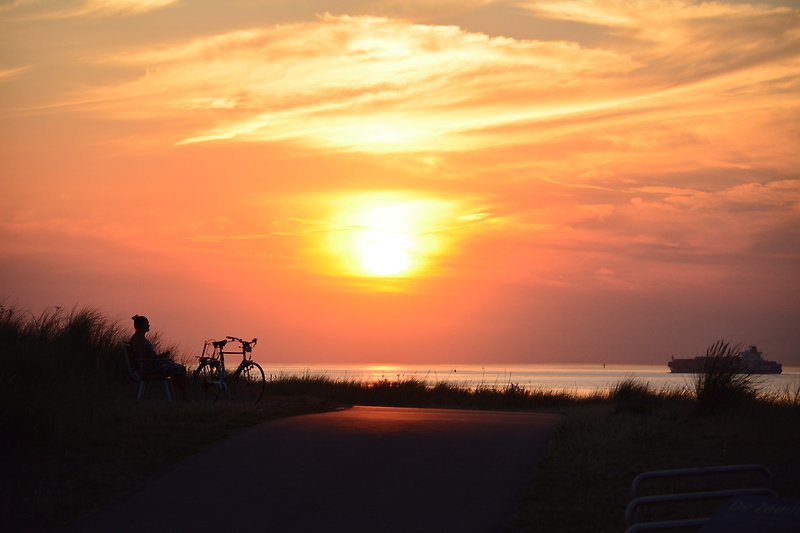 Rotes Fahrrad am Seeufer bei Sonnenuntergang.