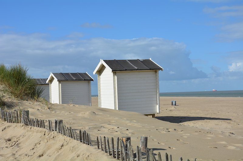 Strandhaus mit Holzdach und Meerblick.