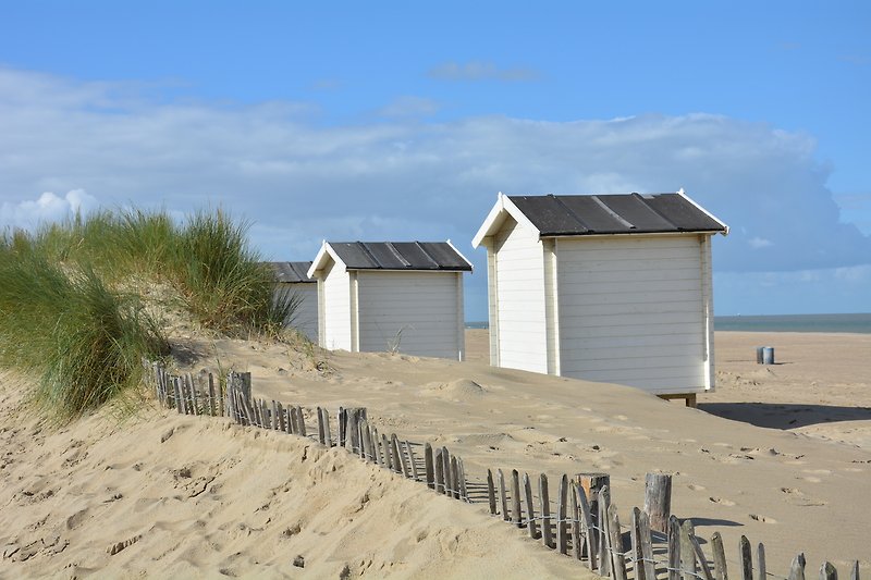 Einsames Strandhaus mit Meerblick und windiger Küste.