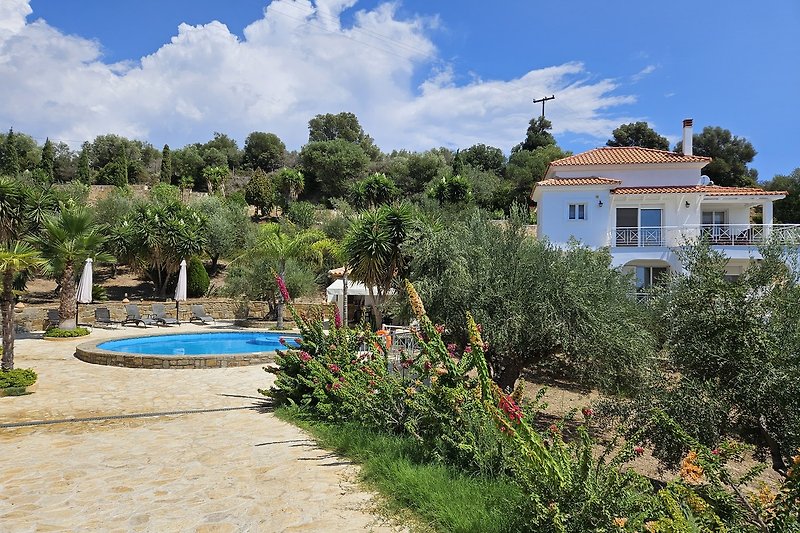 Privater Pool mit Palmen und Blick auf die umliegende Natur.