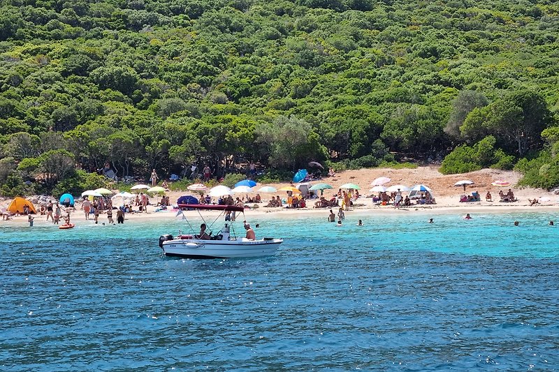 Strand der Insel Sapientza (Bootsverbindung)