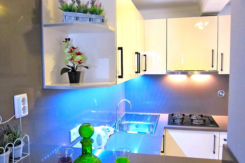 Stylish interior design with azure lighting and houseplants.