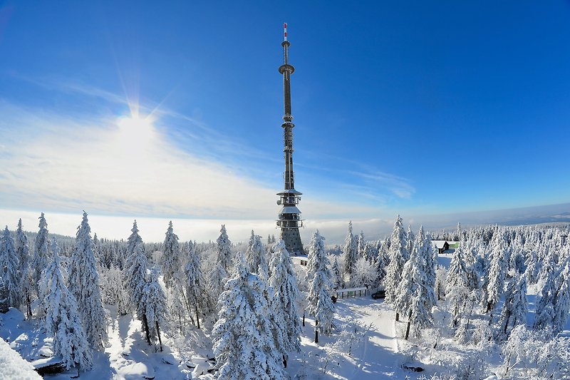 Winterlandschaft mit verschneitem Wald und Bergpanorama.