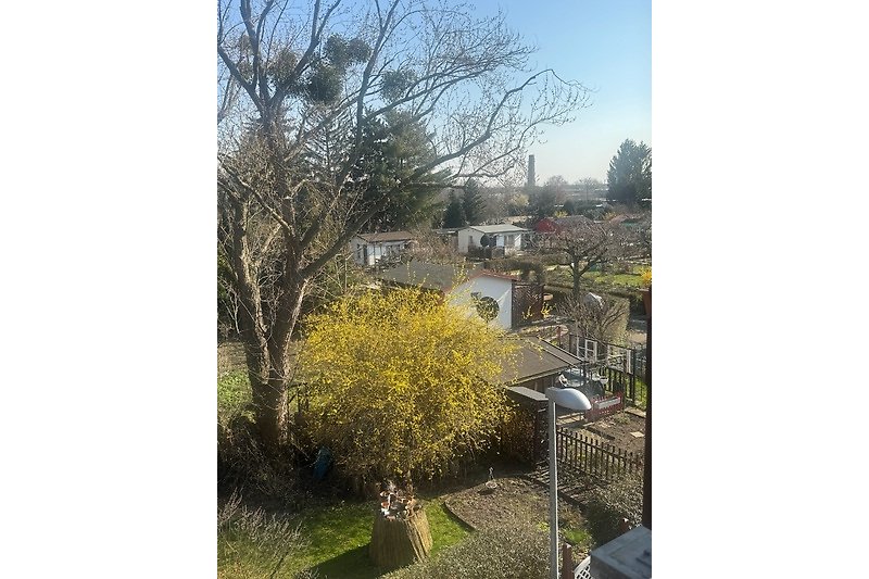 Blick aus dem Wohnzimmerfenster im Frühling auf die umliegenden Gärten