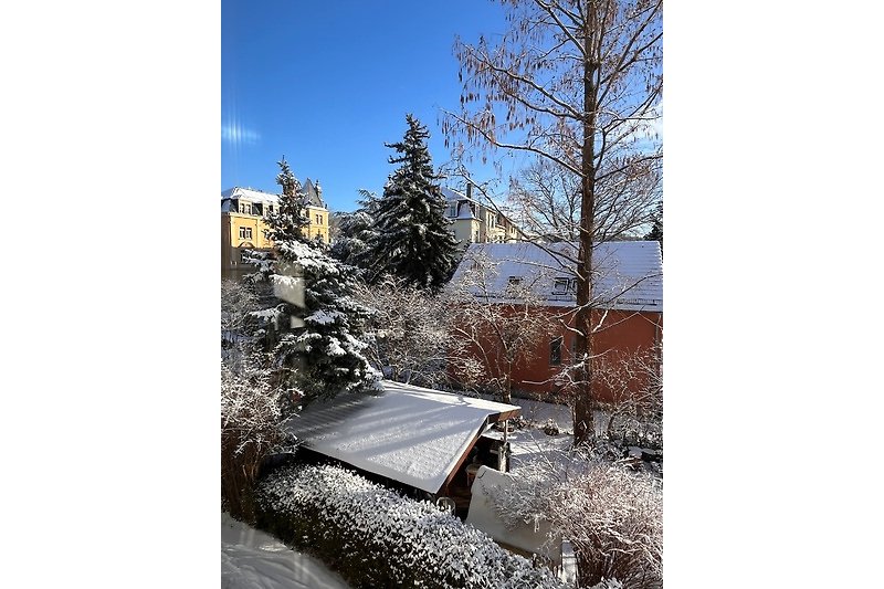 Fensterblick in den verschneiten Garten vor dem Haus