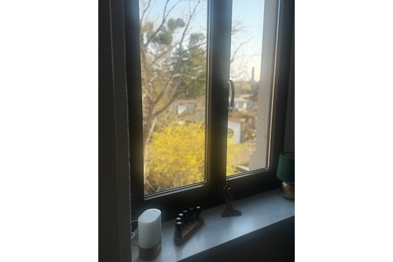 Fenster im Wohnzimmer
