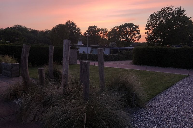 Ein schöner Sonnenuntergang mit rosa Himmel vom Vorgarten aus