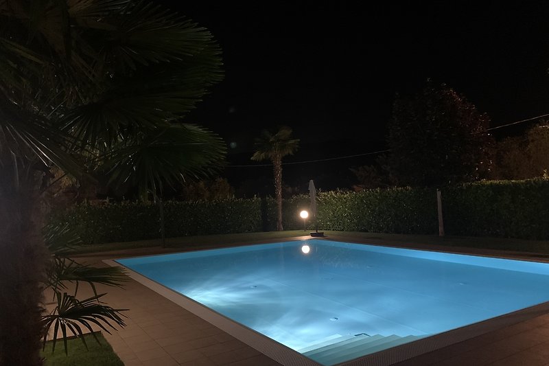 Ein beleuchteter Pool mit einer grünen Umgebung und einem Palmenbaum.