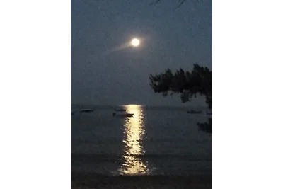 Anse de Pramousquier Veronese App.4208