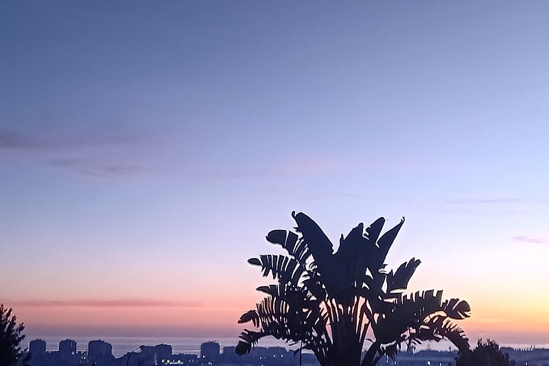 Prachtige zonsondergang boven de middellandse zee met palmbomen en een tropisch landschap.