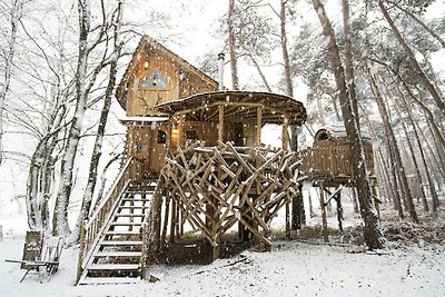 Tree House 3 met sauna