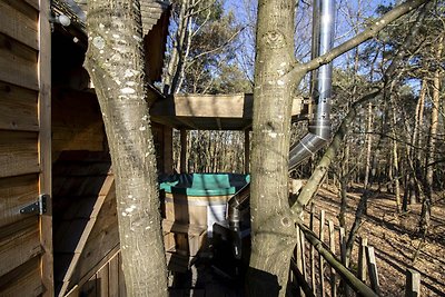 Tree House 2 met hottub