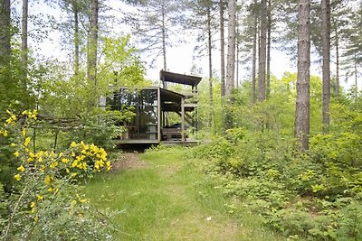 Treetrunk met hottub