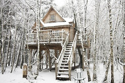 Tree House 2 met hottub