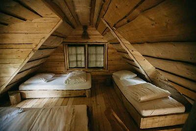 Tree House 2